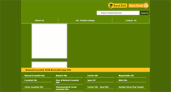 Desktop Screenshot of kantagroupindia.com